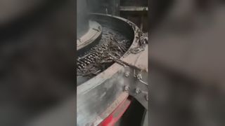 Machine à granulés de biomasse en action : rendement élevé et stable