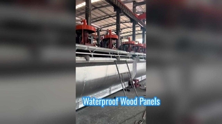 Cellule de flottaison-3