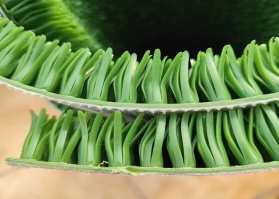Tapis d'herbe d'extraction d'or de taille personnalisée pour équipement de traitement