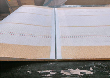 L'épaisseur tissée Kevlar de 8mm affile la bande de conveyeur ondulée
