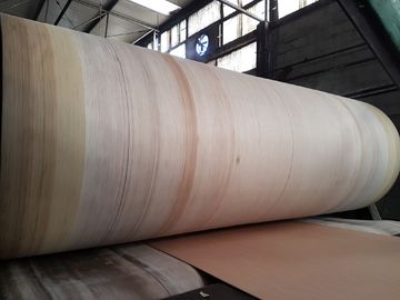 La longévité élevée de ceinture d'onduleur de bord d'Aramid pour BHS, FOSBER, MARQUIP a ridé la ligne
